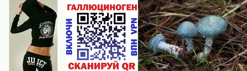 Галлюциногенные грибы Cubensis Купить закладки Городище
